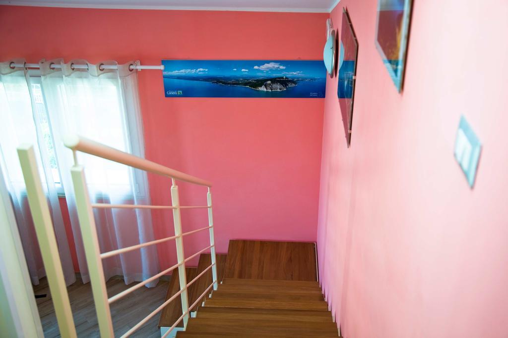 Green House Bed & Breakfast Loreto Exterior photo